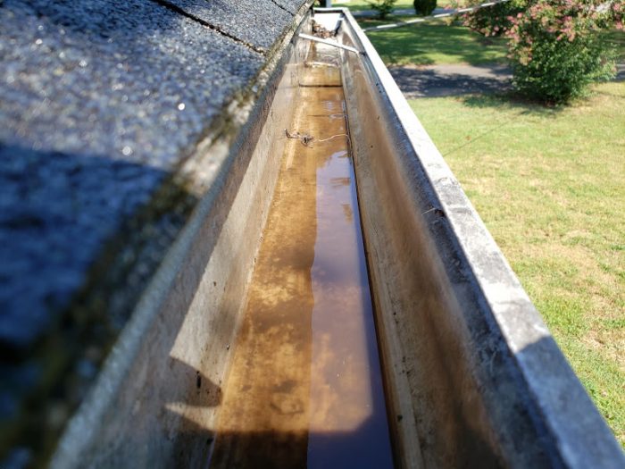 Gutter Cleaning Charlotte NC, Gutter Cleaning Davidson NC, Gutter Cleaning Huntersville NC, Gutter Cleaning Harrisburg NC, Gutter Cleaning Kannapolis NC, Gutter Cleaning Salisbury NC, Gutter Cleaning Gastonia NC, Gutter Cleaning Mooresville NC, Gutter Cleaning Cornelius NC, Gutter Cleaning Concord NC, Gutter Cleaning Matthews NC, Gutter Cleaning Belmont NC, Gutter Cleaning Mount Holly NC, Gutter Cleaning Lake Wylie SC, Gutter Cleaning Mint Hill NC, Gutter Cleaning Pineville NC, Gutter Cleaning China Grove NC, Gutter Cleaning Mt Pleasant NC, Gutter Cleaning Enochville NC, Gutter Cleaning Landis NC